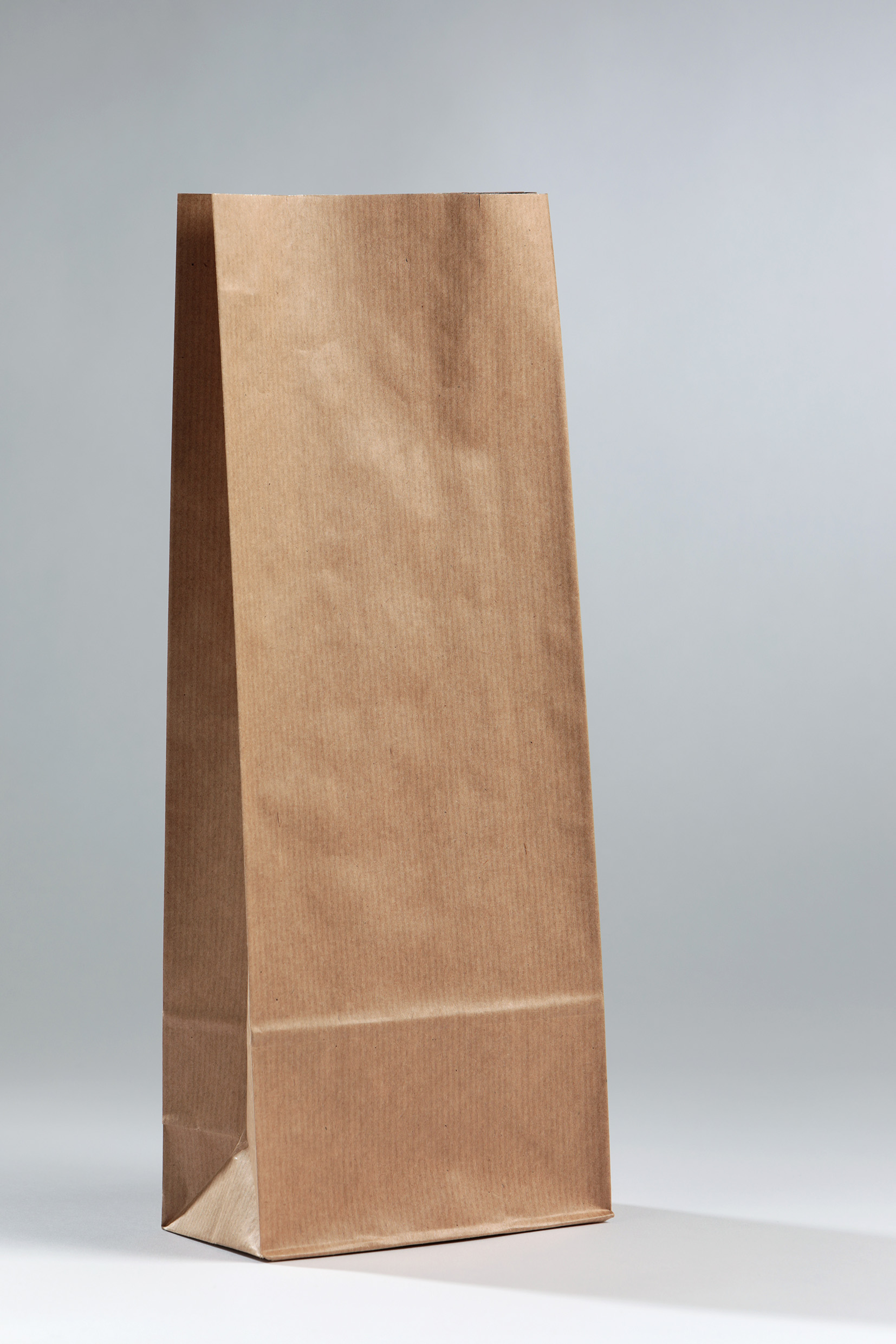 Printed and Laminated Gifting Paper Bags | | Eco Aegis