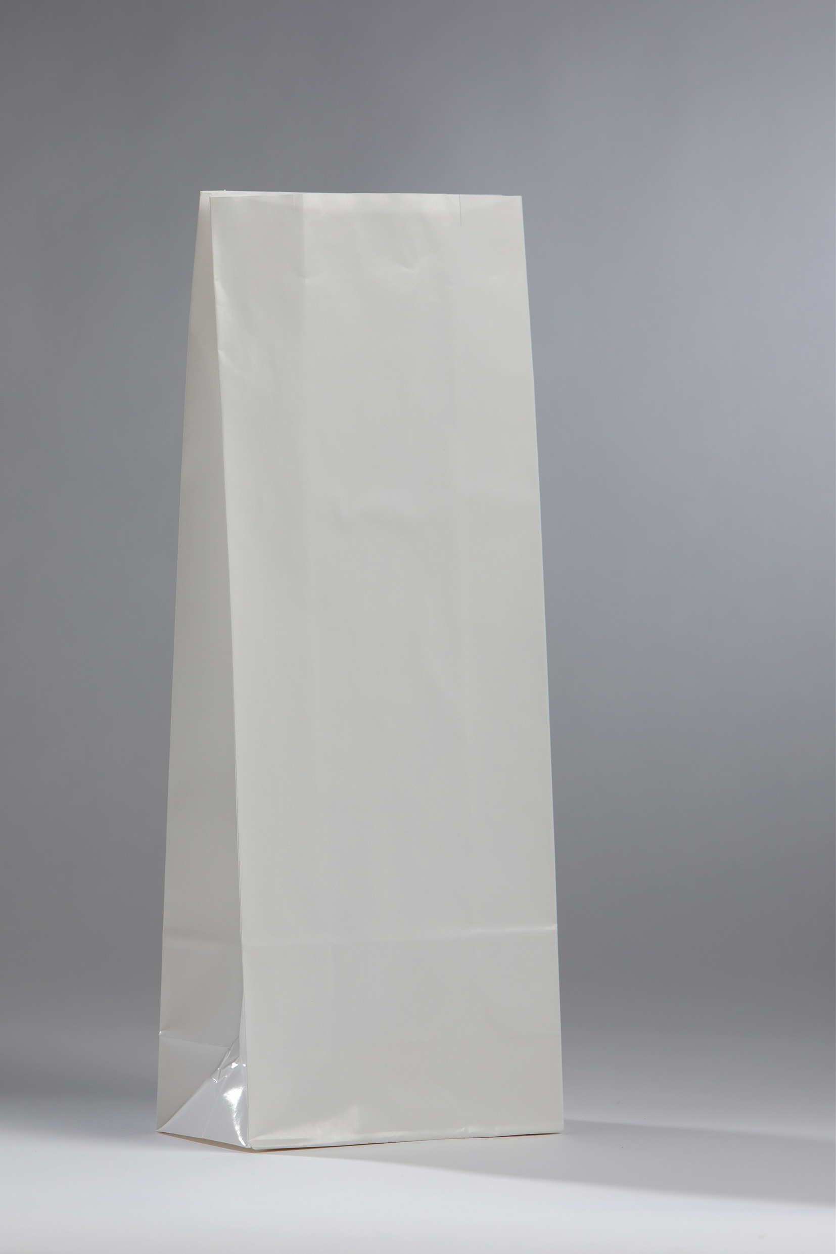 Suri lamp bedrijf Vetbestendige witte papieren zakjes | BagInCo